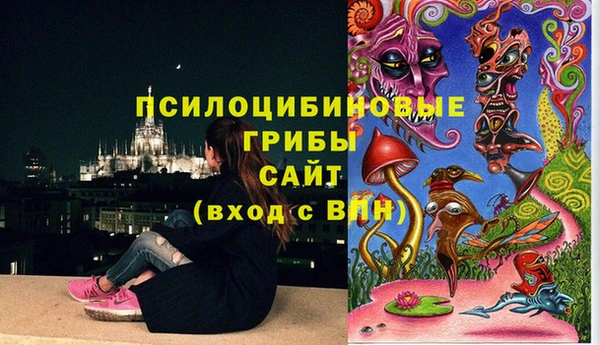 винт Богданович